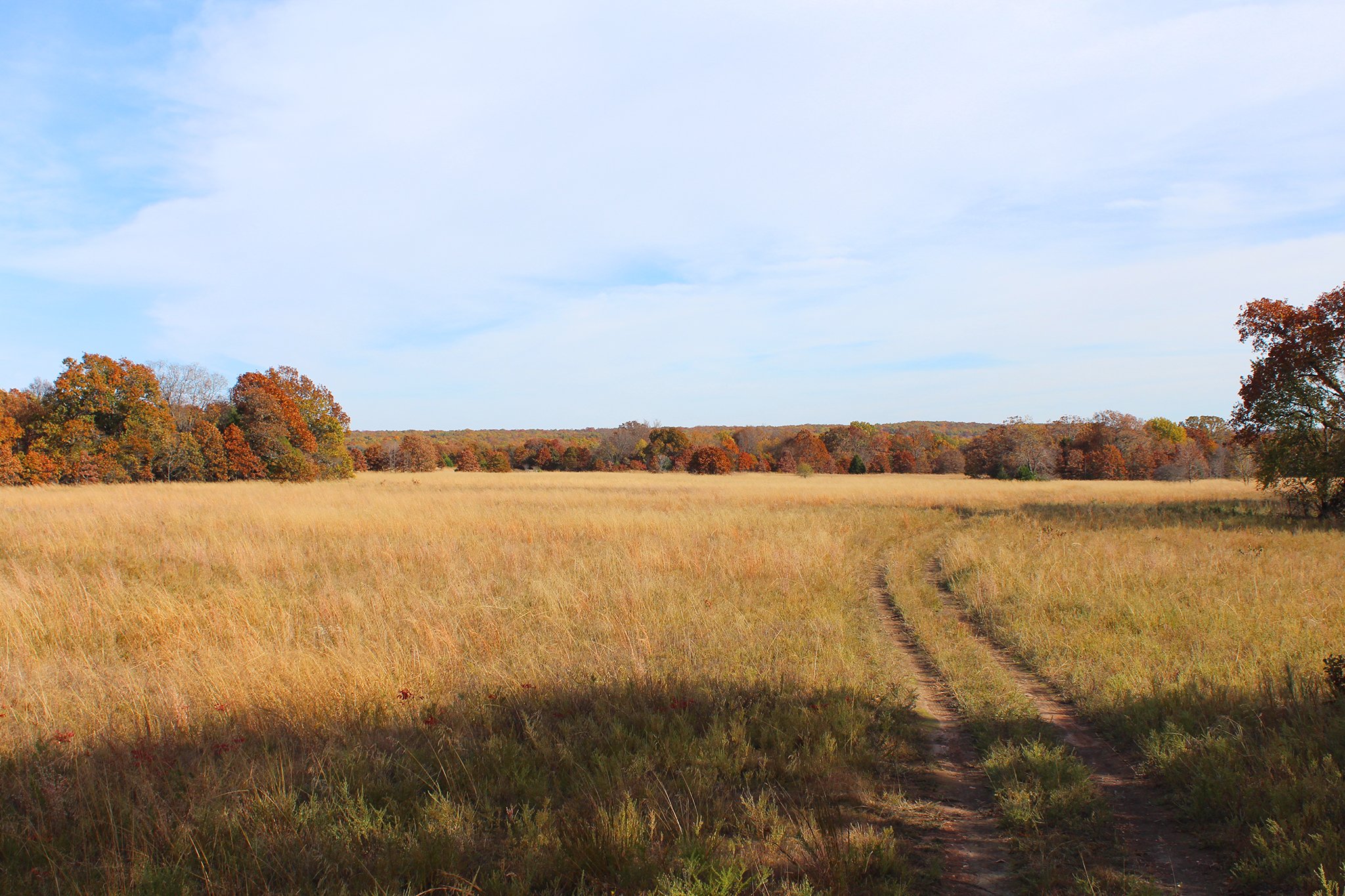 Tract 11 - OKLAHOMA LAND & REAL ESTATE AUCTION, 438 +/- Acres offered in 13 Tracts